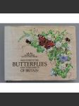 Field Guide to the Butterflies and other Insects of Britain (Motýli, hmyz, Anglie - příručka, ilustrace) - náhled