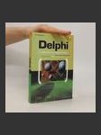 Delphi : Začínáme programovat : podrobný průvodce začínajícího uživatele - náhled