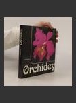 Orchidey - náhled