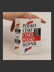 Polsko-český, česko-polský slovník - náhled