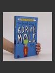 The secret diary of Adrian Mole aged 13 3/4 - náhled