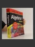 Algebra I All-in-One For Dummies - náhled
