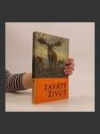 Zavátý život - náhled