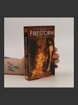 Firestorm (Weather Warden, Book 5) - náhled