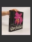 Orchidey - náhled