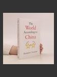 The World According to China - náhled