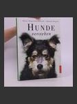 Hunde verstehen - náhled