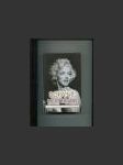 Bohyně. Tajné životy Marilyn Monroe - náhled