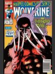 Wolverine And Typhoid Mary #113 - náhled