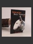 Bohemian Bull Terrier 2004 - náhled