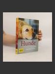 Hunde - náhled