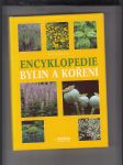 Encyklopedie bylin a koření - náhled