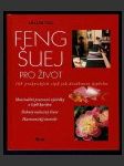 Feng Šuej pro život - náhled