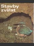 Stavby zvířat - náhled