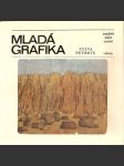 Mladá  grafika - současné české umění - náhled