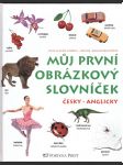 Můj první obrázkový slovníček - náhled