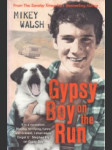 Gypsy Boy on the Run - náhled