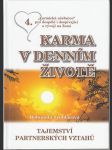 Karma v denním životě - Tajemství partnerských vztahů - náhled