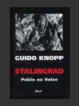 Stalingrad: Peklo na Volze - náhled