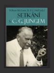 Setkání s C. G. Jungem - náhled