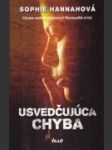 Usvedčujúca chyba - náhled