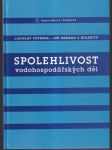 Spolehlivost vodohospodářských děl (veľký formát) - náhled