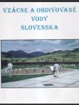 Vzácne a obdivované vody Slovenska (veľký formát) - náhled