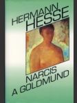 Narcis a Goldmund - náhled