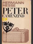 Peter Camenzind - náhled