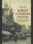 Střípky z českého Chicaga: Edice dokumentů k dějinám Čechů v americkém Chicagu v letech 1848-1918 - náhled