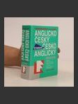 Anglicko-český, česko-anglický slovník - náhled