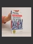 Prodej problémovým zákazníkům. Klíč k vyjednávání a přesvědčování - náhled