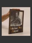 Václav Havel : Bibliogr. příručka - náhled