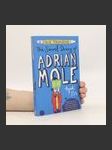 The secret diary of Adrian Mole aged 13 3/4 - náhled