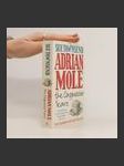 Adrian Mole : the cappuccino years - náhled