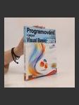 Programování v jazyce Visual Basic 2010 - náhled