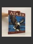 Adler - náhled