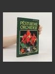 Pěstujeme orchideje - náhled