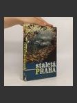 Staletá Praha II - náhled