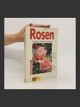 Rosen - náhled