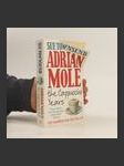 Adrian Mole: the cappuccino years - náhled