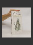 Grasses - náhled