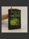 Die Druidin - náhled