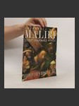 Největší malíři. Život, inspirace a dílo. Hieronymus Bosch 53 - náhled