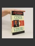 Cesta vzhůru - náhled