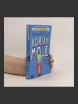 The secret diary of Adrian Mole aged 13 3/4 - náhled