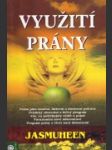 Využití prány - náhled