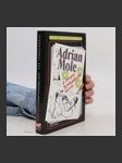 Adrian Mole a zbraně hromadného ničení. Deníky Adriana Molea. 6. díl - náhled