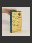 The Wisdom of Teams - náhled