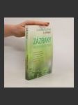 Zázraky moderních dnů : zázračné okamžiky a neobyčejné příběhy lidí z celého světa, jejichž životy ovlivnila Louise L. Hay - náhled